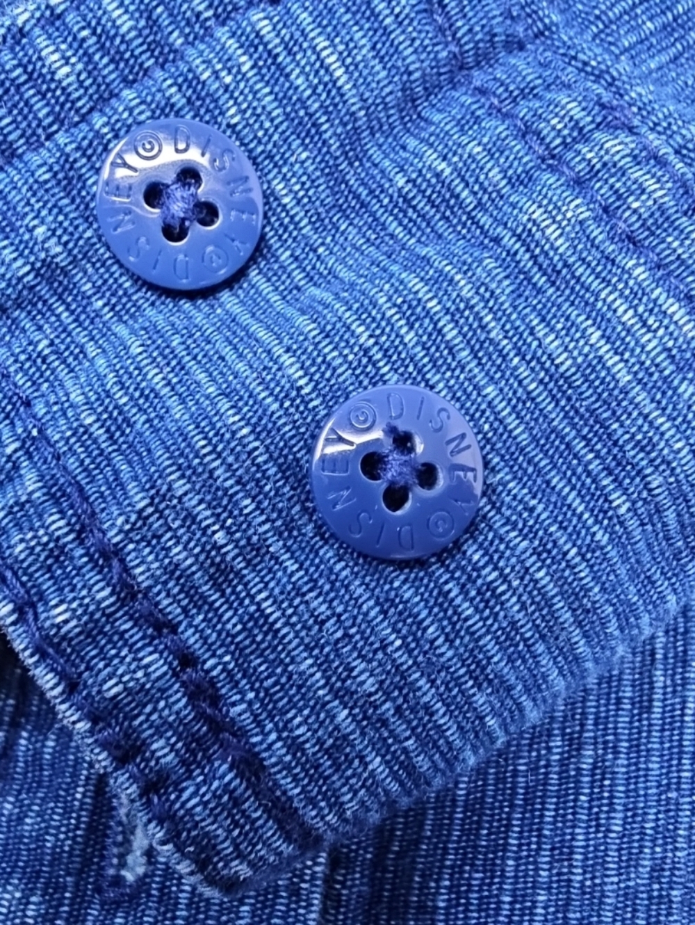 Blue Winnie the Pooh & Eeyore Corduroy Women's Button-down - Picture 10 of 11